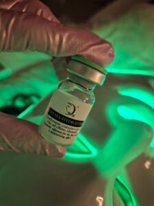 stažený soubor (11)